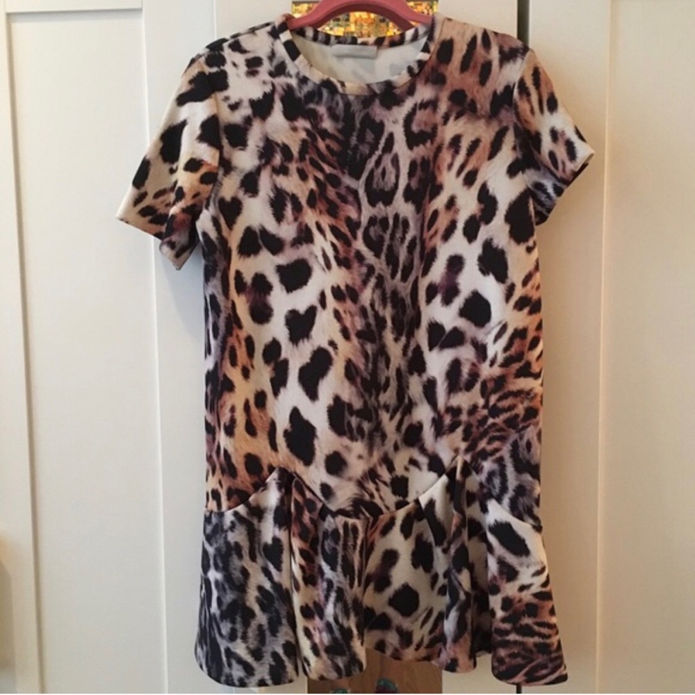 Zara dress
